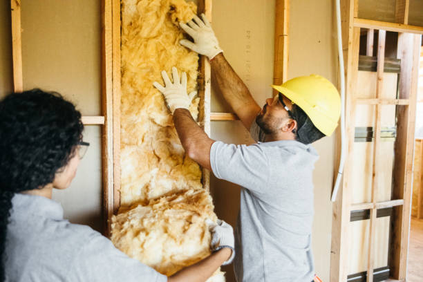 Best Commercial Insulation Services  in Hamlet, IN